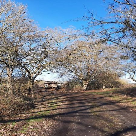 Exklusive Naturoase Direkt Am Ars Natura Wanderweg Mit Panoramablick Auf Melsungen Exterior photo