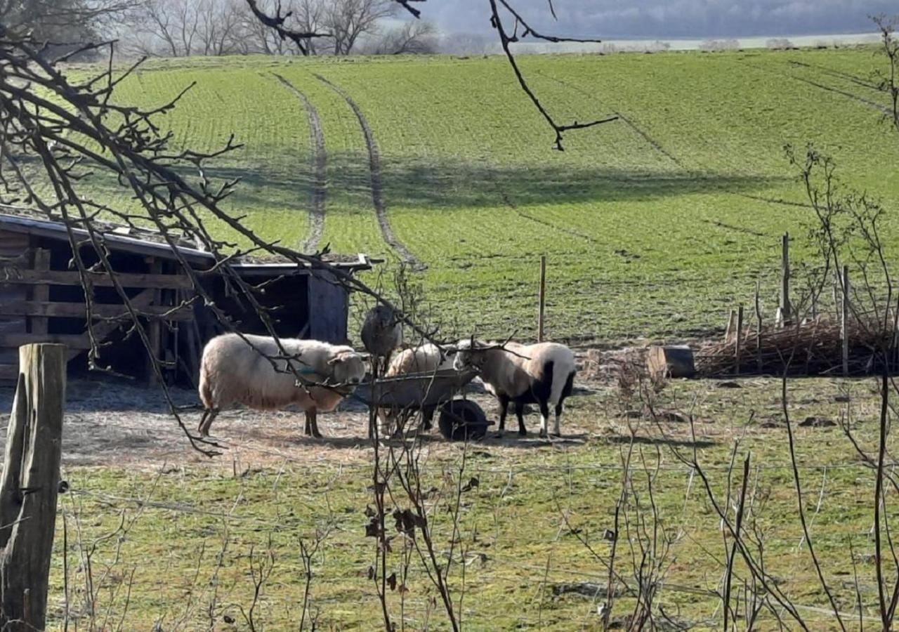 Exklusive Naturoase Direkt Am Ars Natura Wanderweg Mit Panoramablick Auf Melsungen Exterior photo